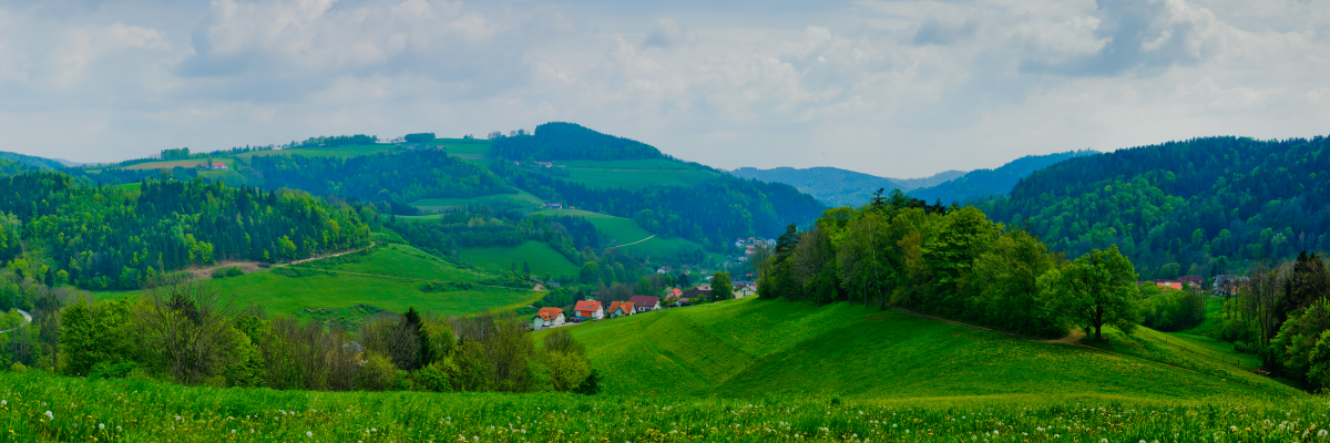 Südoststeiermark