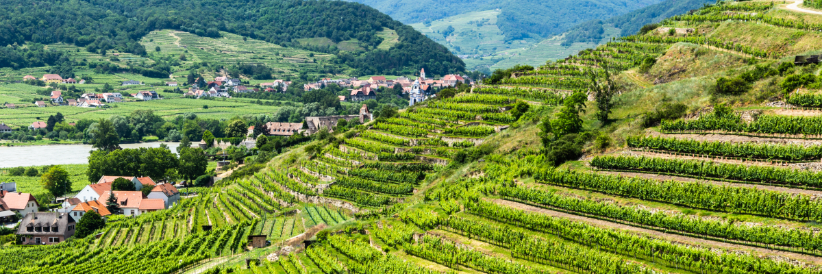 Wachau